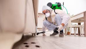 Best Pest Prevention Services  in South Amboy, NJ